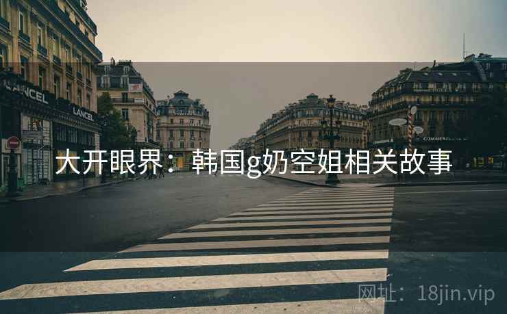 大开眼界：韩国g奶空姐相关故事