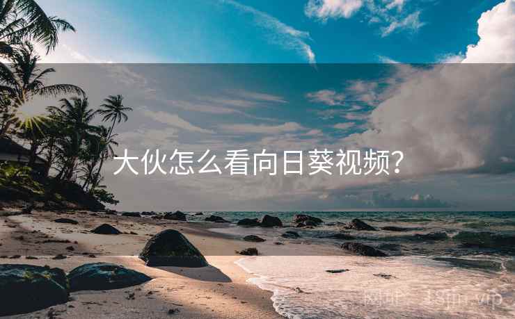 大伙怎么看向日葵视频？